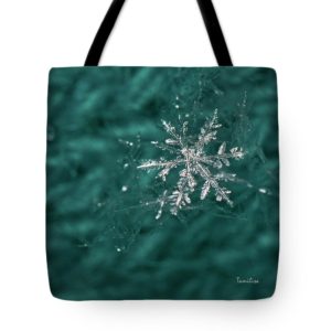 artworkimage-medium-18696426-4110347
